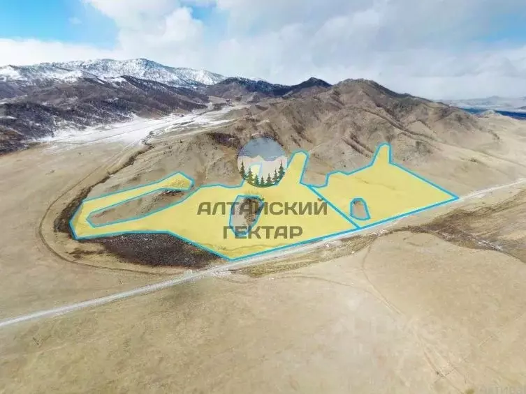 Участок в Алтай, Усть-Канский район, с. Мендур-Соккон ул. Казакова, 25 ... - Фото 1