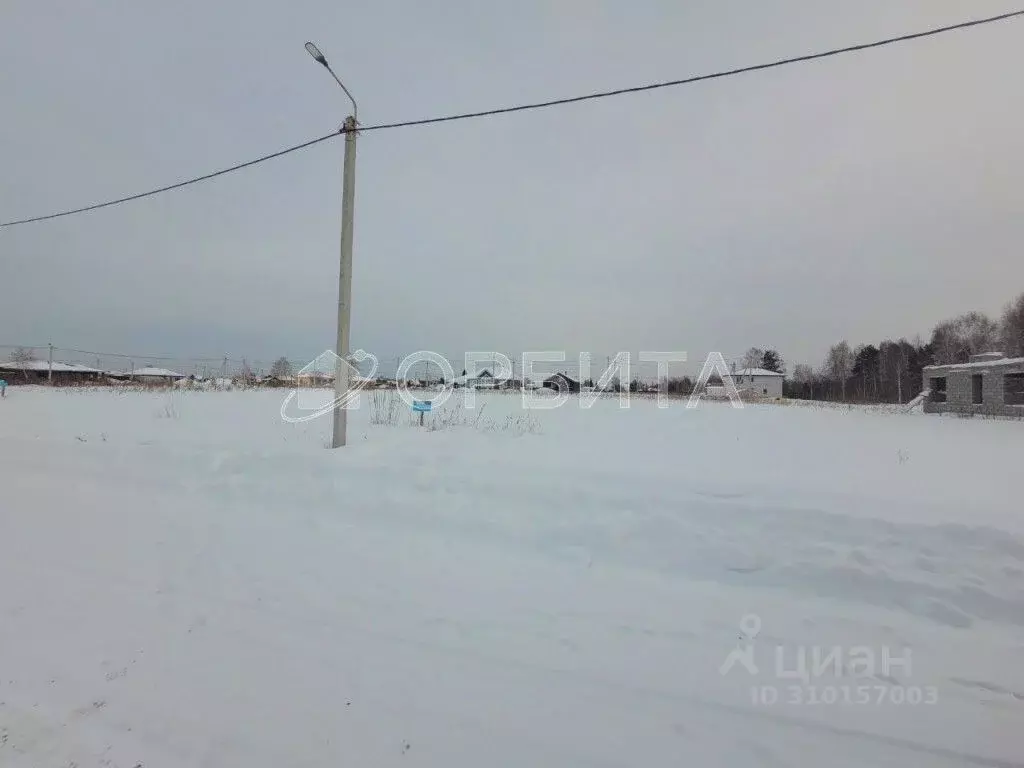 Участок в Тюменская область, Тюмень СОСН Березовое Озеро тер., ул. ... - Фото 1