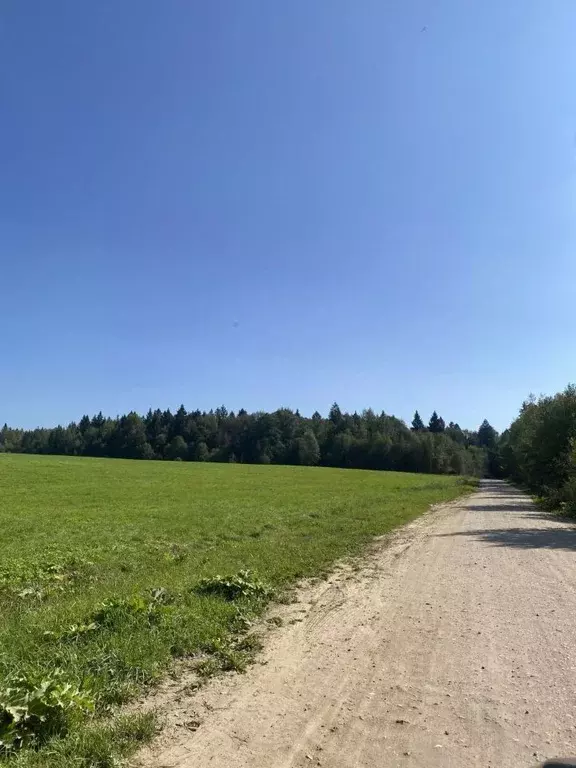 Участок в Московская область, Яхрома Дмитровский городской округ, ... - Фото 1