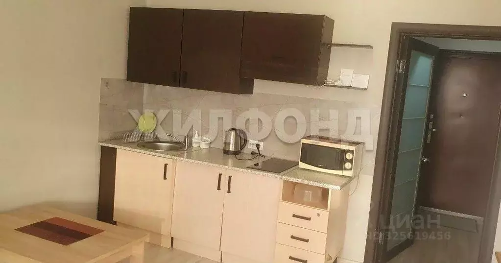 1-к кв. Новосибирская область, Новосибирск Рябиновая ул., 10/1 (26.0 ... - Фото 2