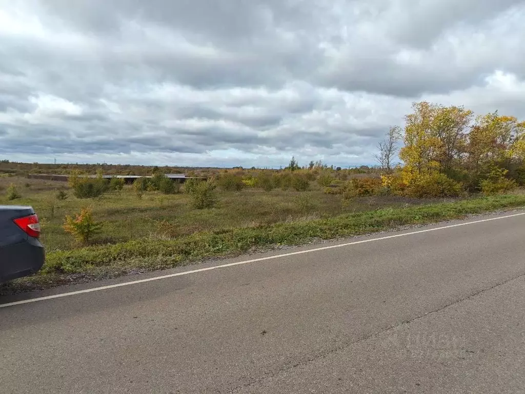 Участок в Новгородская область, Новгородский район, Борковское с/пос, ... - Фото 2