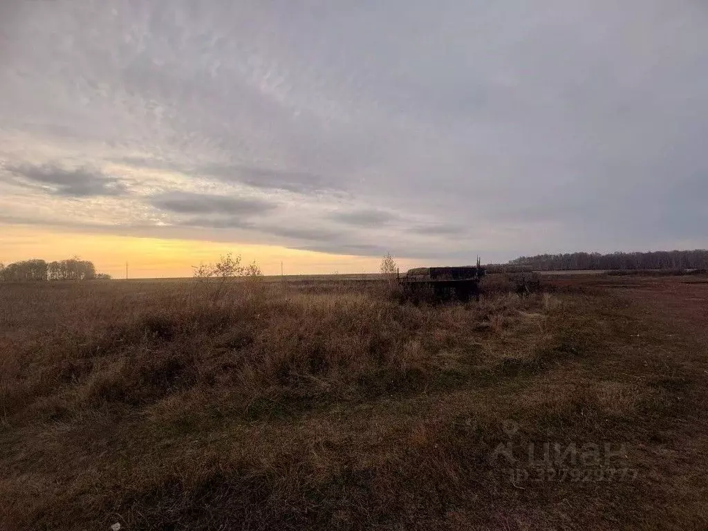 Участок в Курганская область, Кетовский муниципальный округ, с. ... - Фото 1