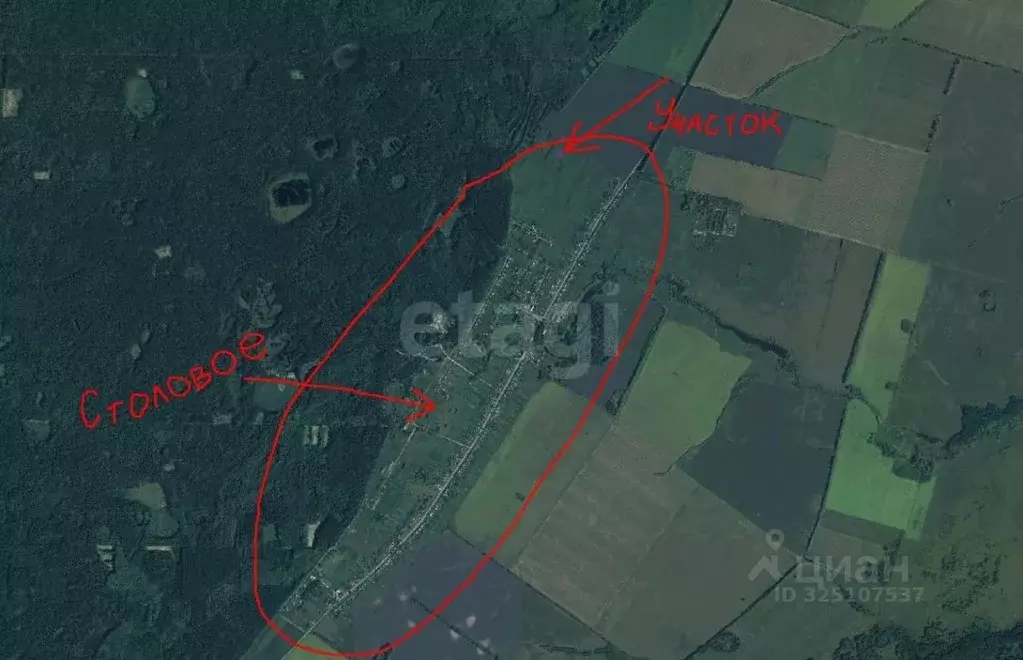 Участок в Тамбовская область, Тамбовский муниципальный округ, с. ... - Фото 1