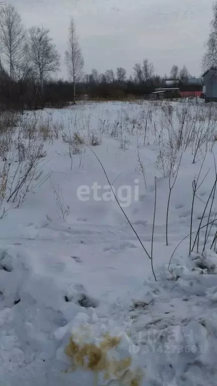 Участок в Курганская область, Шадринск Моховая ул. (10.0 сот.) - Фото 1