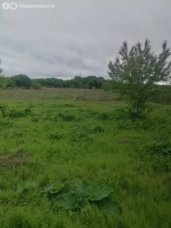 Участок в Артёмовский городской округ, село Кролевцы, Краснознамённая ... - Фото 1