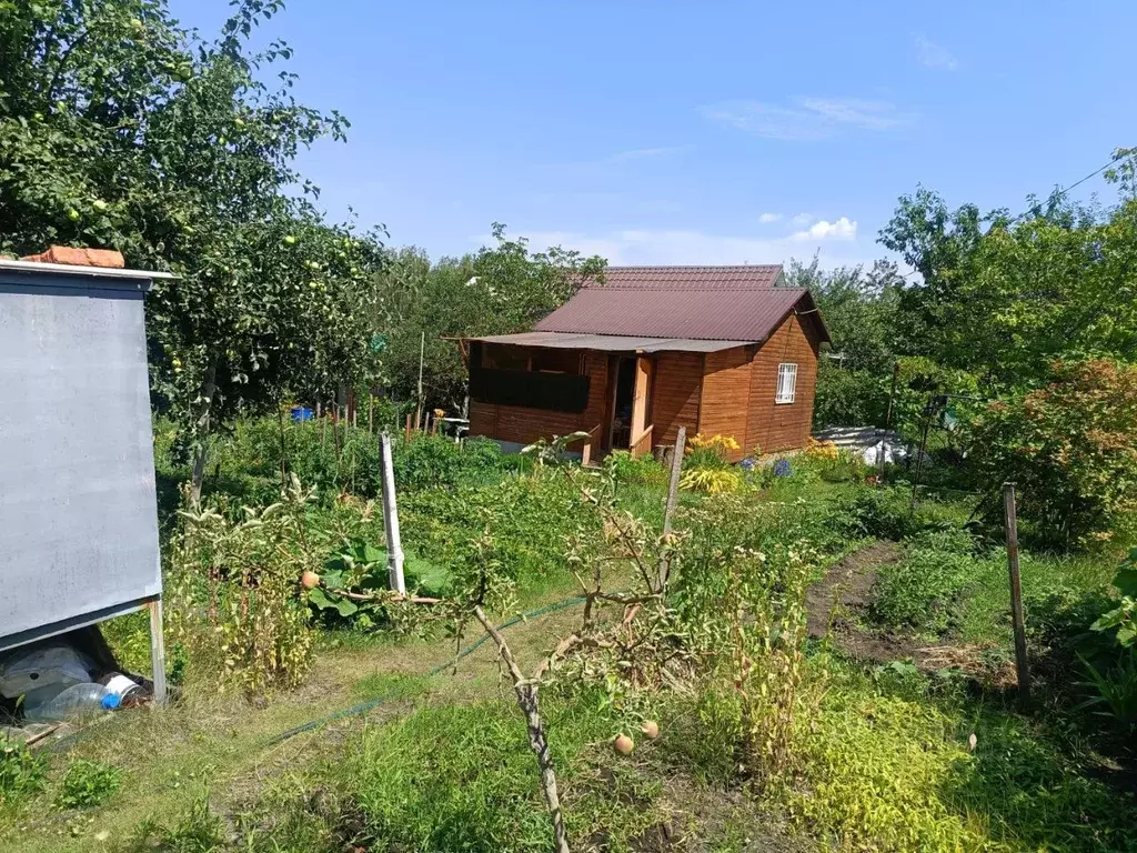 Дом в Саратовская область, пос. Красный Текстильщик, Источник СНТ  (30 ... - Фото 1