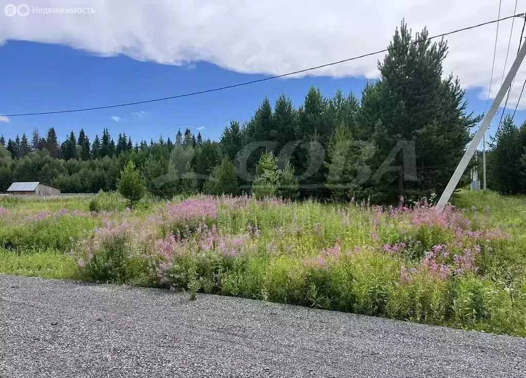 Участок в Свердловская область, посёлок городского типа Тугулым (12.2 ... - Фото 2