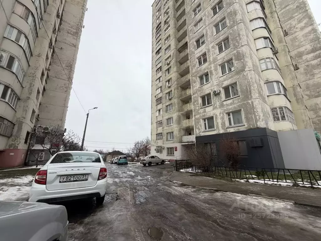 1-к кв. Белгородская область, Белгород ул. Калинина, 1 (43.6 м) - Фото 1