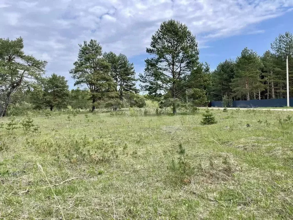 Участок в Калужская область, Дзержинский муниципальный округ, Дворцы ... - Фото 1