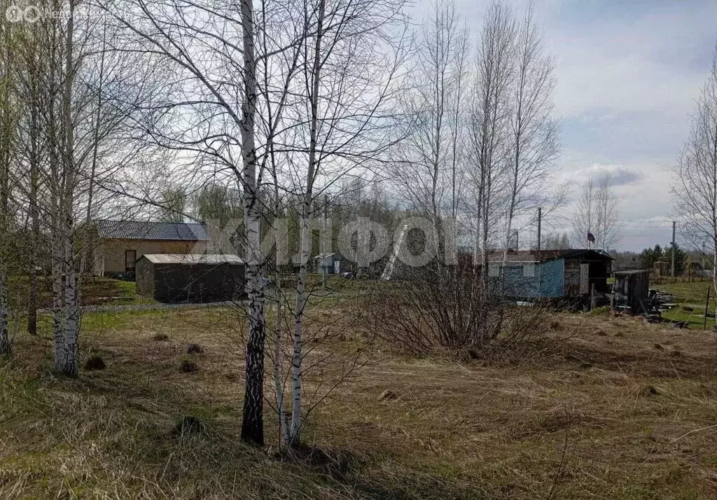 Участок в Барышевский сельсовет, СНТ Полянка (9 м) - Фото 1