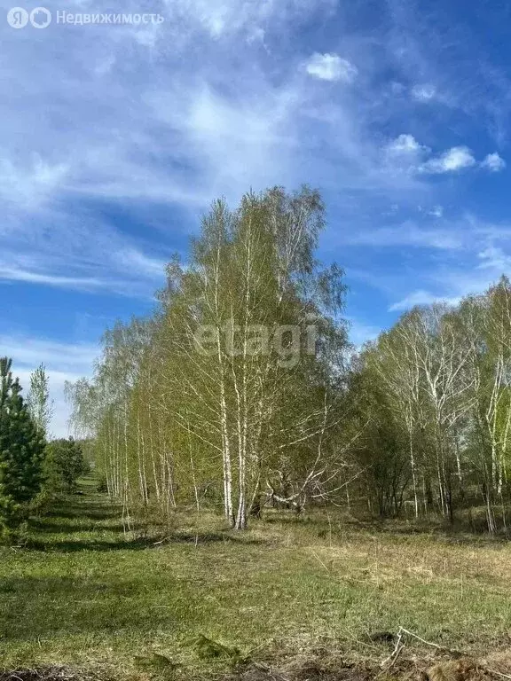 Участок в Тюменский район, коттеджный посёлок Новокаменский, ... - Фото 1
