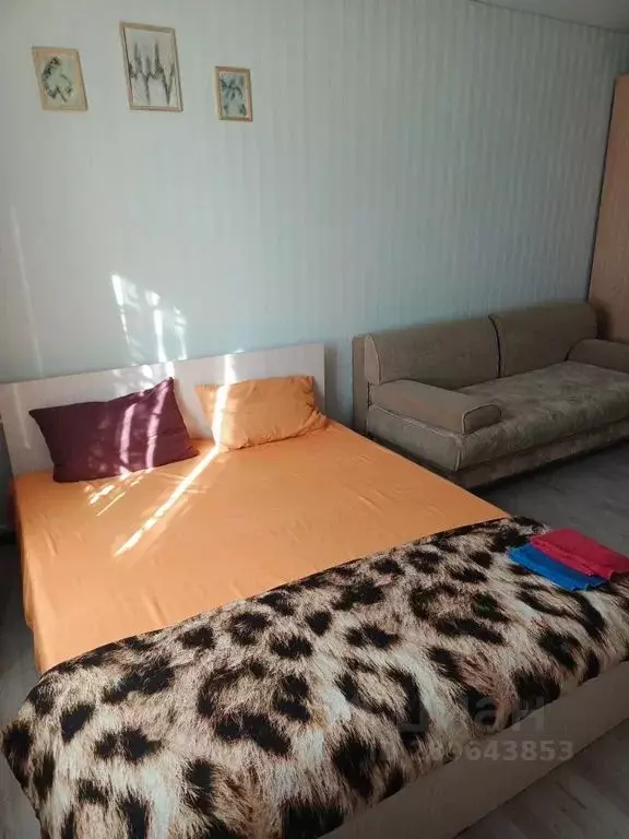 1-к кв. Воронежская область, Воронеж Цимлянская ул., 12 (30.0 м) - Фото 1