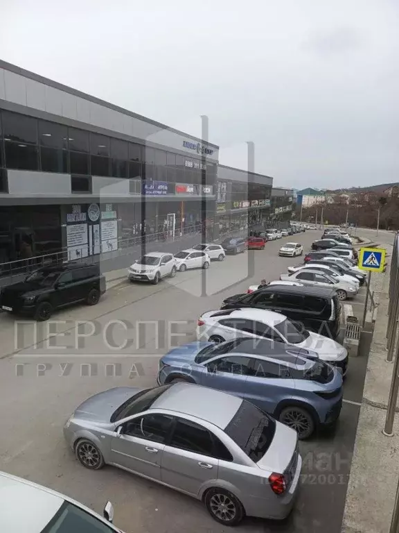 Торговая площадь в Краснодарский край, Новороссийск Цемдолина тер., ... - Фото 2