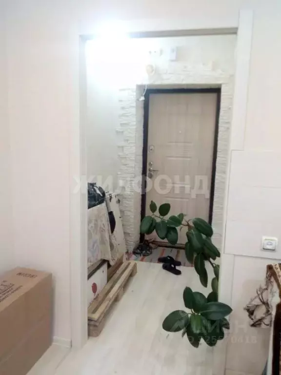 Студия Новосибирская область, Новосибирский район, Каменский ... - Фото 1