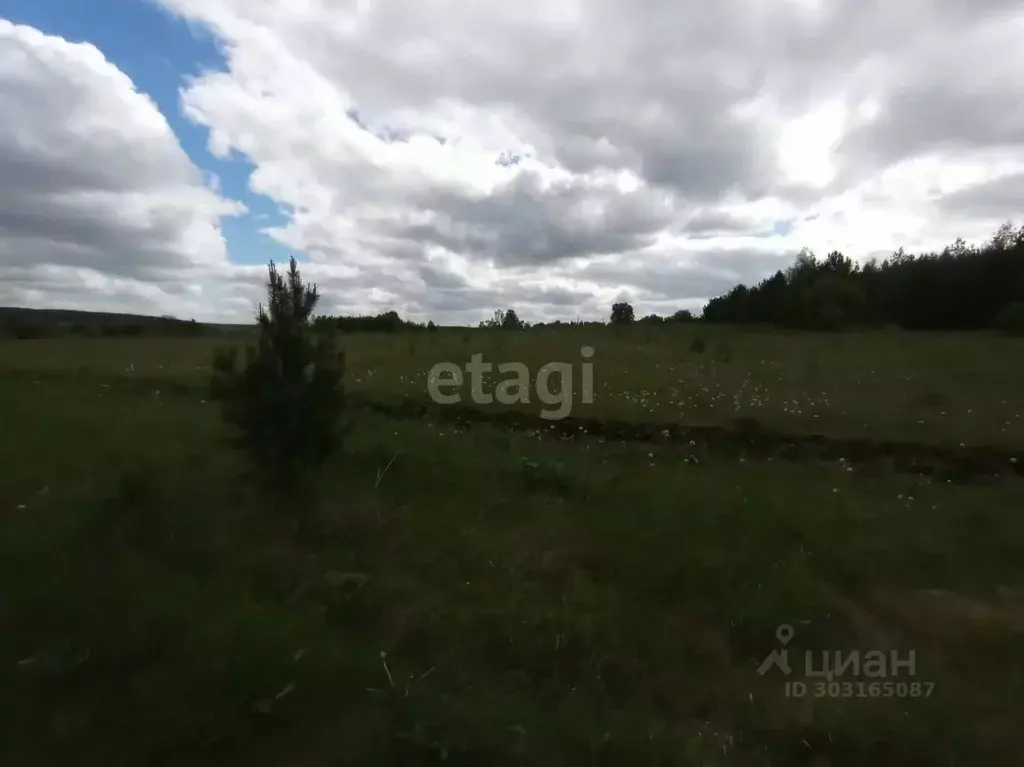 Участок в Свердловская область, с. Кайгородское  (20.0 сот.) - Фото 0