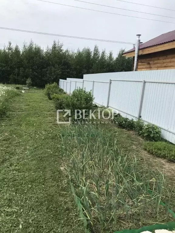 Участок в Костромская область, Красносельский район, Гридинское с/пос, ... - Фото 2