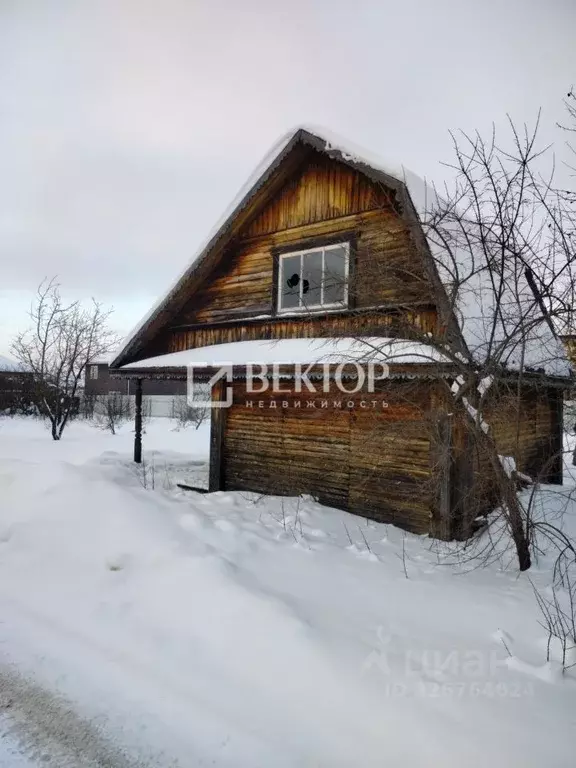 Участок в Костромская область, Кострома Рябинушка СНТ, 59 (6.0 сот.) - Фото 1