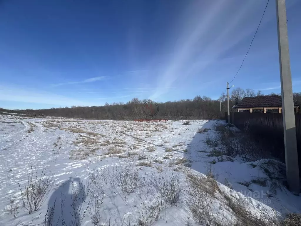 Участок в Воронежская область, Борисоглебский городской округ, с. ... - Фото 1