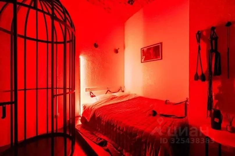 1-к кв. Санкт-Петербург Невский просп., 111/3 (30.0 м) - Фото 2