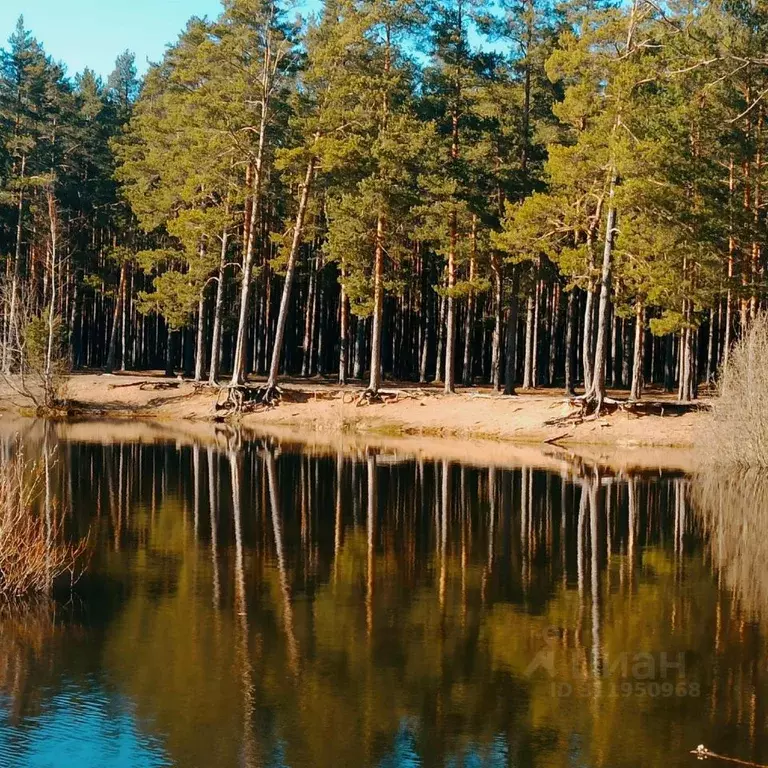 Дом в Ленинградская область, Ломоносовский район, Большеижорское ... - Фото 1