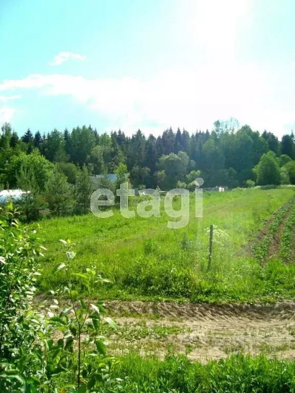 Участок в Вологодская область, д. Ерофейка  (11.0 сот.) - Фото 0