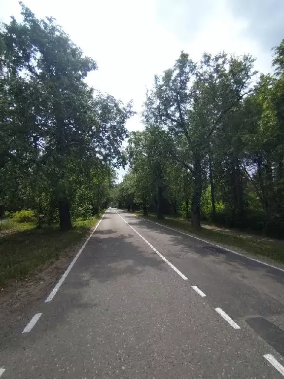 Продается дом в ЖСК Дружба - Фото 2