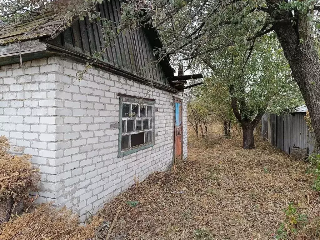 Дом в Брянская область, Брянск Садовод садовое общество,  (15 м) - Фото 0