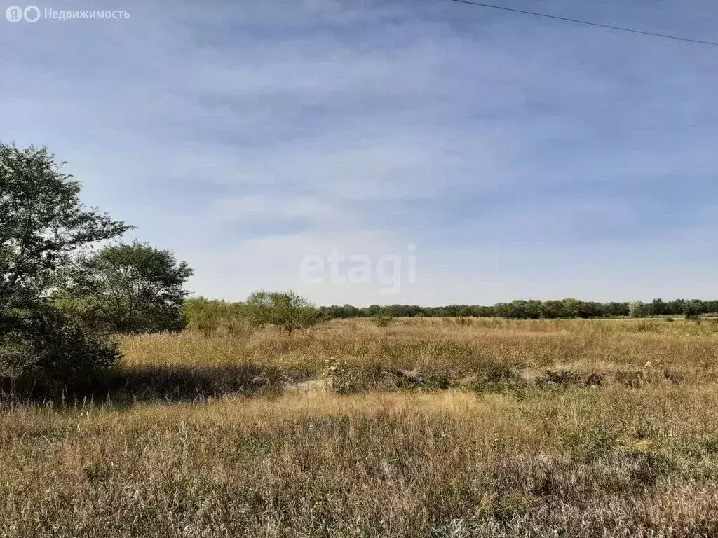 Участок в Селиванихинский сельсовет, посёлок Топольки, улица Щедрухина ... - Фото 1