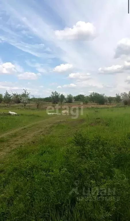 Участок в Ростовская область, Азов Азовский район,  (11.84 сот.) - Фото 1