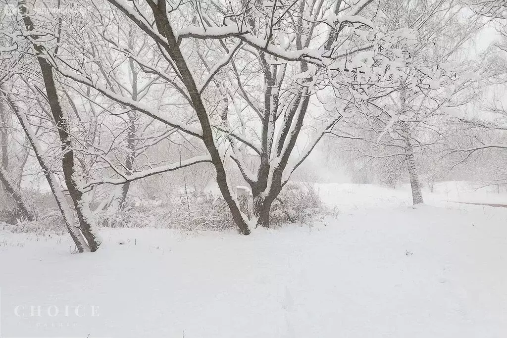 Участок в деревня Чесноково, КП Ренессанс парк (22.63 м) - Фото 2