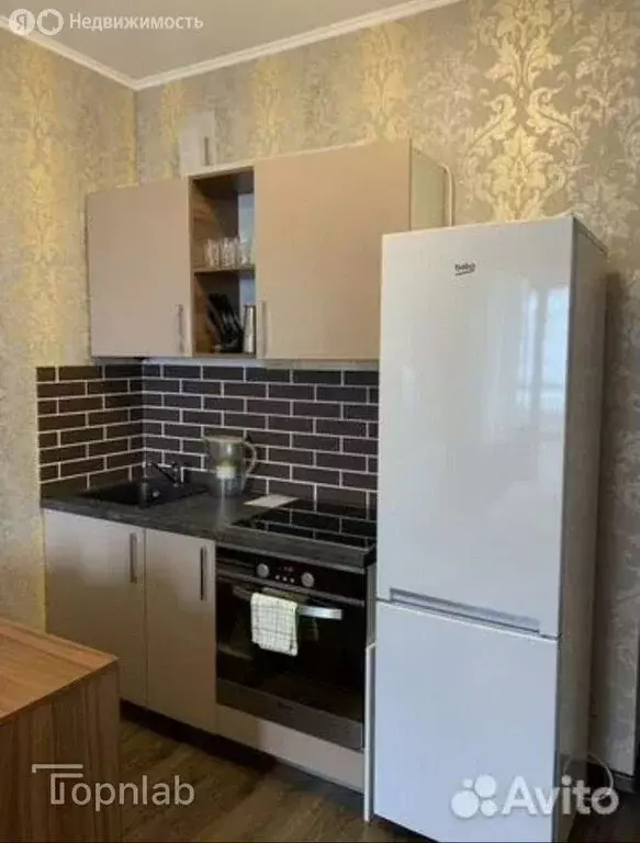 Квартира-студия: Санкт-Петербург, Плесецкая улица, 16 (24.6 м) - Фото 2