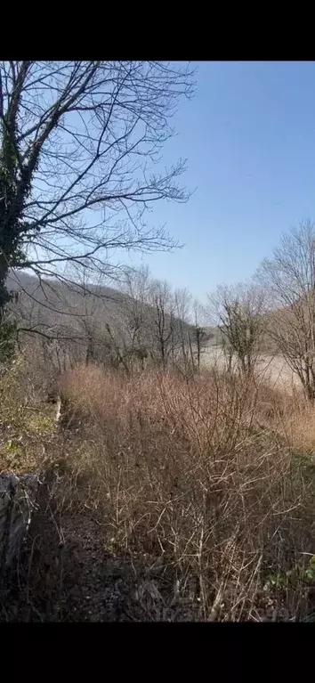 Участок в Краснодарский край, Сочи Тихоновка мкр, ул. Скрябина, 21 ... - Фото 0