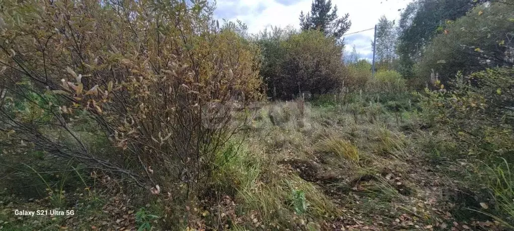 Участок в Свердловская область, Горноуральский муниципальный округ, с. ... - Фото 1