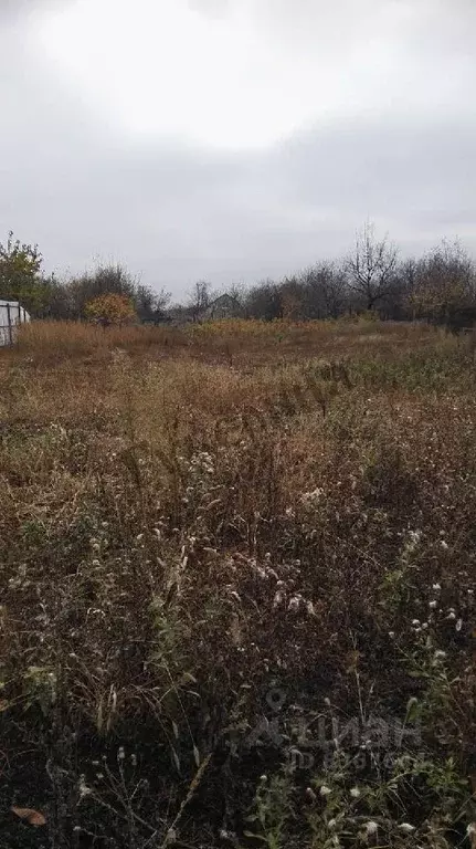 Участок в Белгородская область, Белгородский район, Новосадовское ... - Фото 0