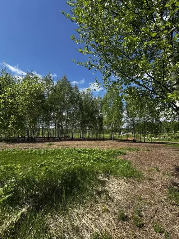 Участок в Московская область, Клин городской округ, Новорижские Ключи ... - Фото 2