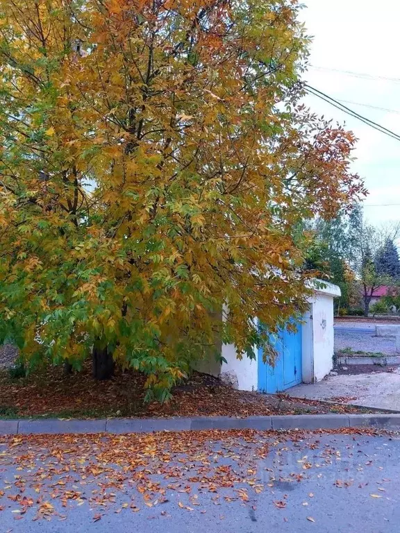 Гараж в Башкортостан, Уфа ул. Чудинова, 7/1 (23 м) - Фото 1