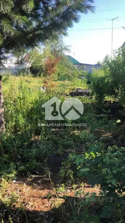 Участок в Новосибирская область, Новосибирск Барьерная ул., 36 (8.0 ... - Фото 1