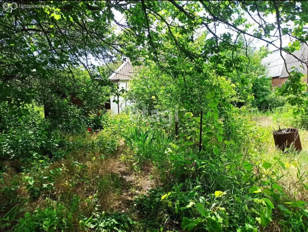 Участок в Таганрог, садовое товарищество Дачное-1, 1-я аллея (6 м) - Фото 0