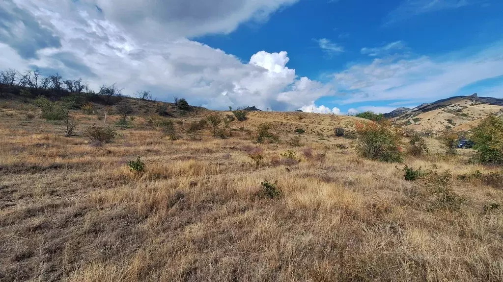 Участок в Крым, Феодосия муниципальный округ, Курортное пгт  (3.0 ... - Фото 2