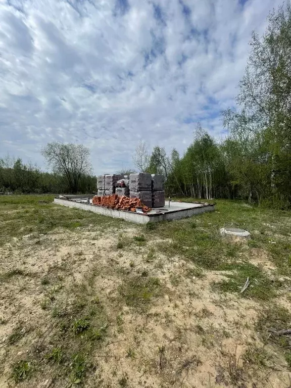 Участок в Нижегородская область, Бор Октябрьский р-н, ул. Героя ... - Фото 1