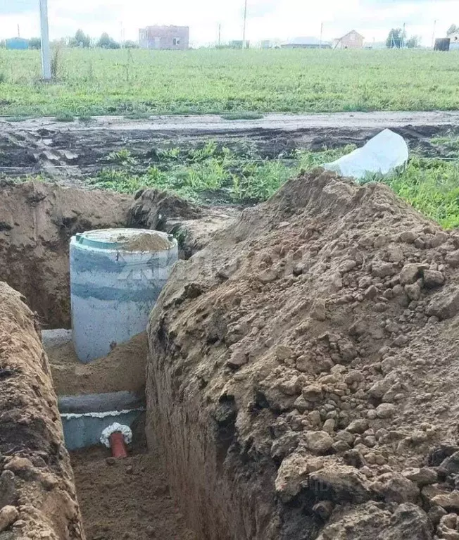 Участок в Новосибирская область, Новосибирский район, Морской ... - Фото 1