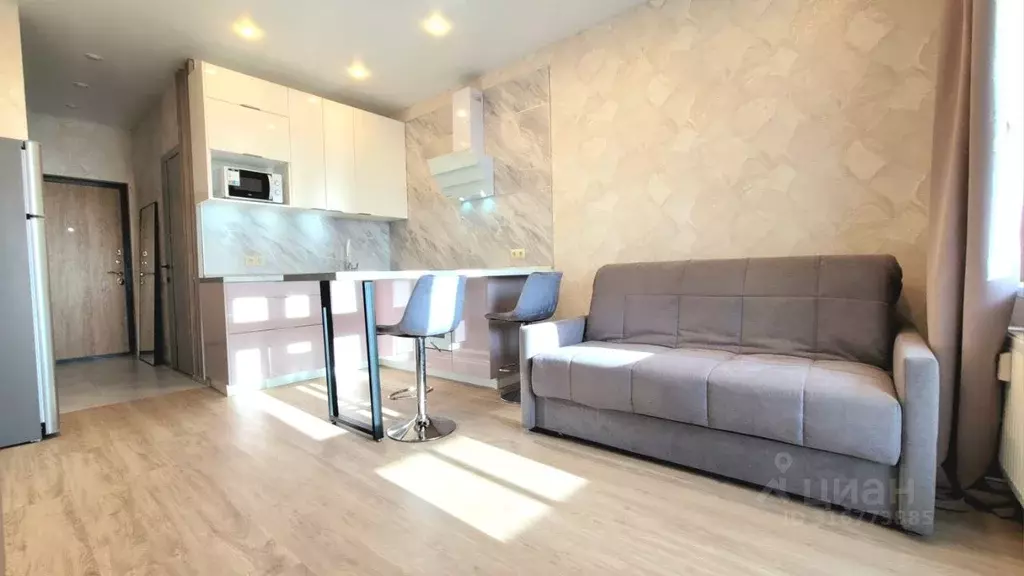 Студия Санкт-Петербург пер. Ипподромный, 1к1 (24.0 м) - Фото 1
