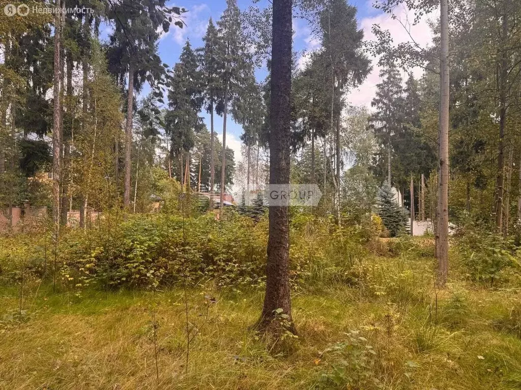 Участок в деревня Бородки, КП Грибово (14.3 м) - Фото 1