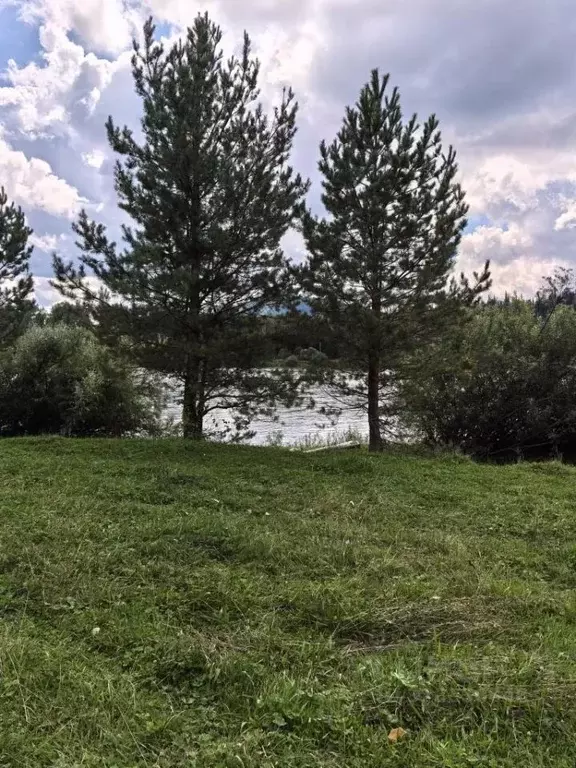 Участок в Алтай, Турочакский район, с. Озеро-Куреево  (46.0 сот.) - Фото 2