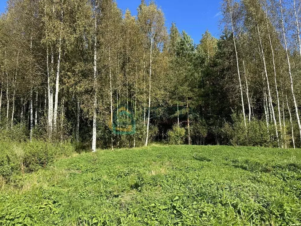 Участок в Ленинградская область, Выборгский район, Рощинское городское ... - Фото 0