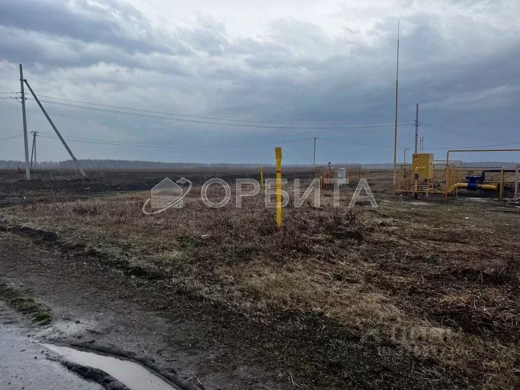 Участок в Тюменская область, Тюменский муниципальный округ, д. Зырянка ... - Фото 1