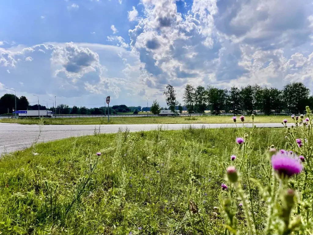 Участок в Тамбовская область, Тамбовский муниципальный округ, с. ... - Фото 1