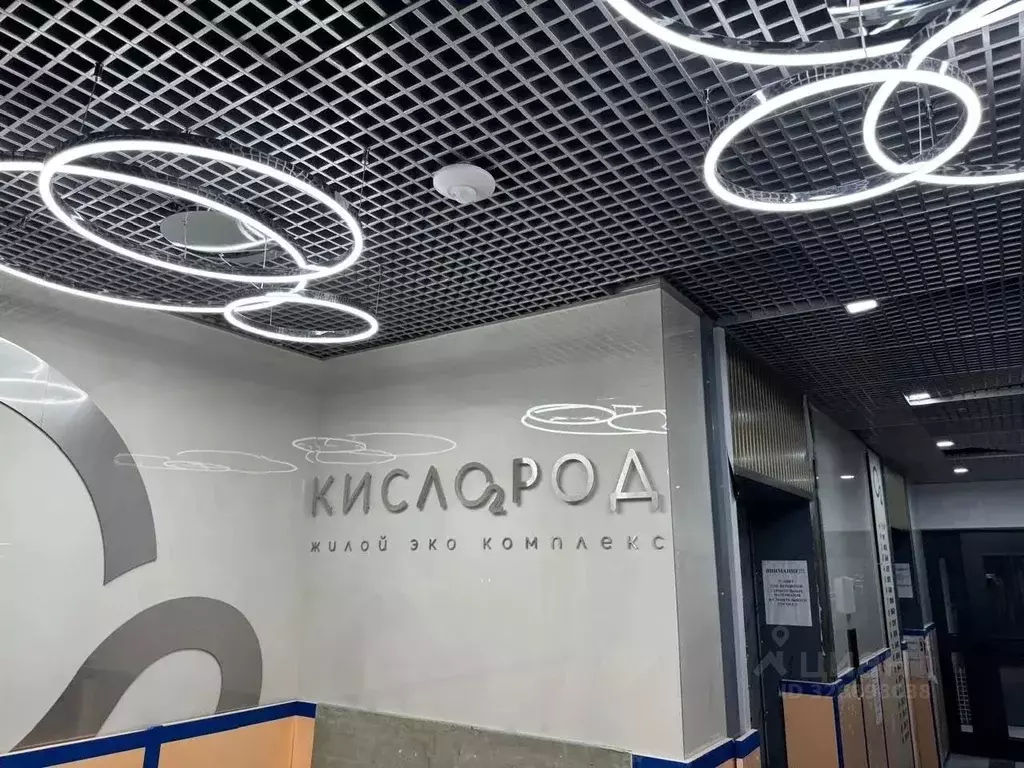 Студия Краснодарский край, Сочи Бытха мкр, ул. Ясногорская, 16/2к6 ... - Фото 2