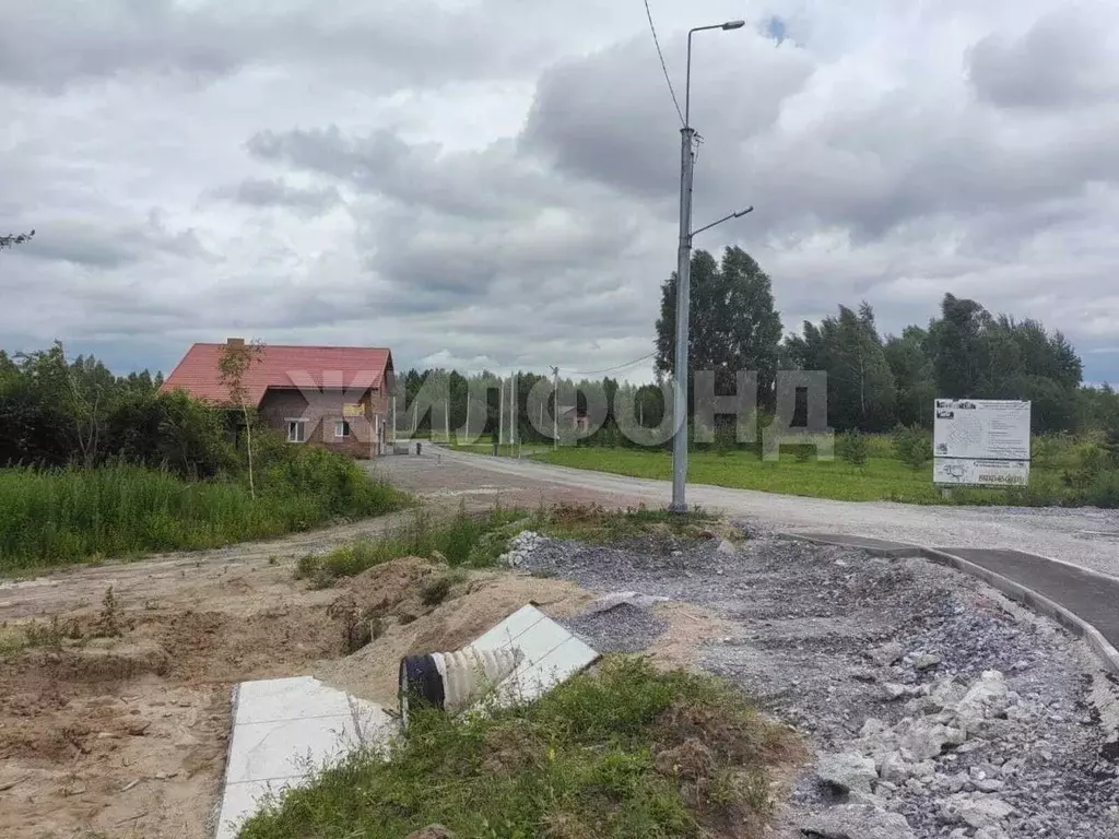 Участок в Новосибирская область, Новосибирский район, Барышевский ... - Фото 1