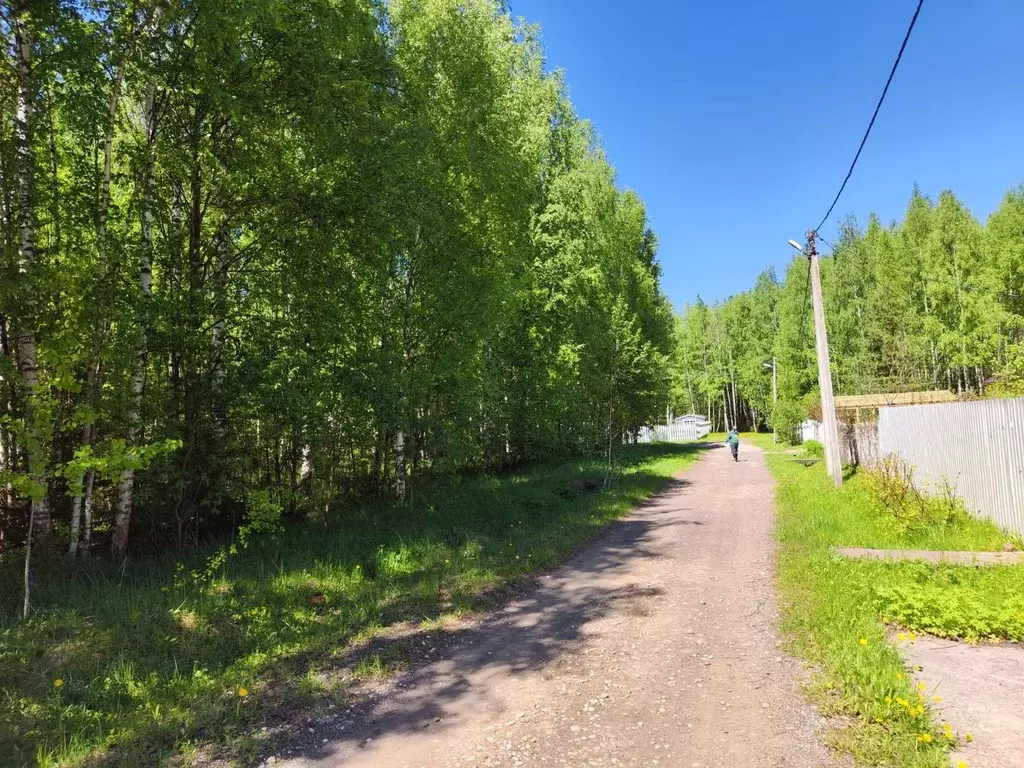 Участок в Владимирская область, Александровский район, ... - Фото 0